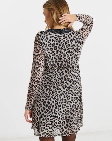 Leopard Print Mesh Lace Trim Skater Dress