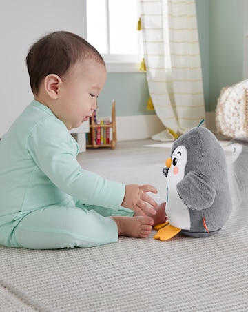 Fisher-Price Flap & Wobble Penguin