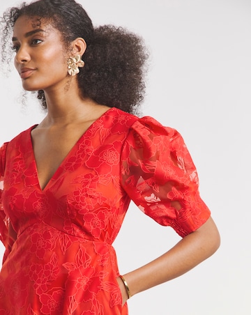 Joanna Hope Sheer Floral Dress