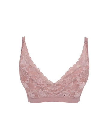 Panache Amour Non Wired Rose Pink Soft Padded Lace Bra