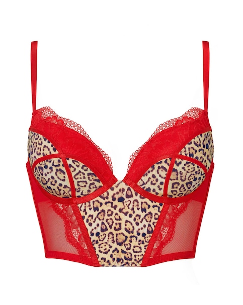 Ann Summers Instinctive Basque