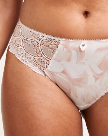 Fantasie Olivia Knicker Dusk