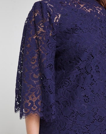 Joanna Hope Navy Lace Swing Dress
