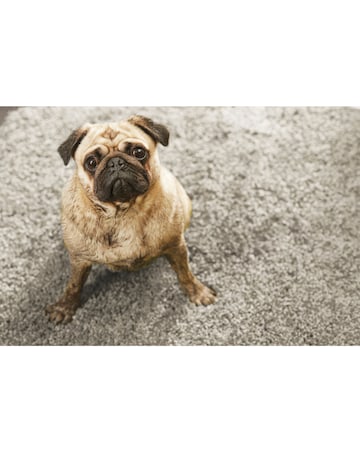 Buddy Washable & Stain Resistant Rug