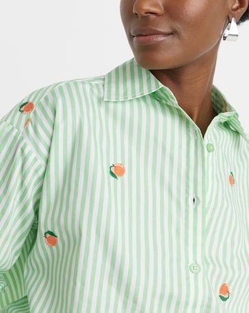 Embroidered Stripe Shirt