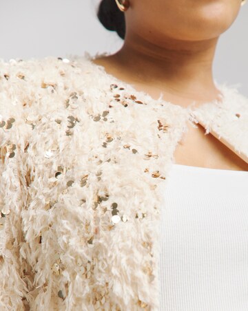 Joanna Hope Faux Feather Sequin Jacket