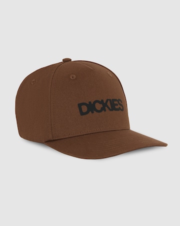 Dickies Torrey Snapback Cap - Brown
