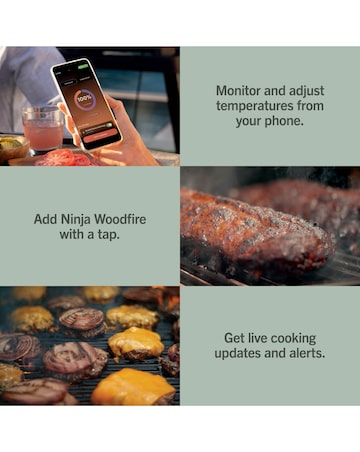 Ninja FlexFlame Outdoor Cooking System + Pro Connect App Barbecue PG305UK