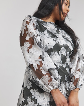 Joanna Hope Floral Organza Dress