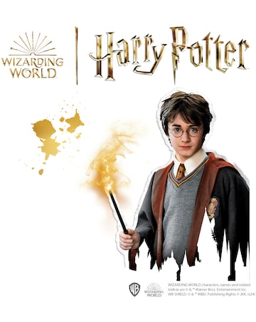 SES Harry Potter - Casting and Painting