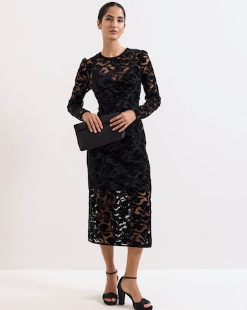 Phase Eight Viktoria Applique Velvet Midi Dress
