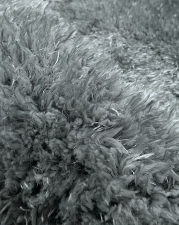 Opulence Rug