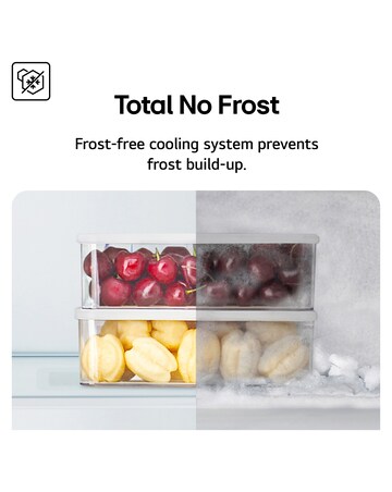 LG GBBSJ2CCPY 60/40 Tall Fridge Freezer - Silver
