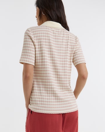 Stripe Polo Half Sleeve Top