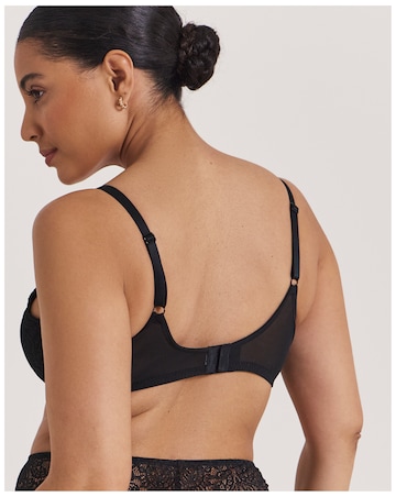 Pretty Secrets Mila Lace Full Cup Wired Bra (B-G) Black