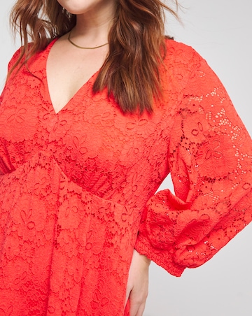 Joanna Hope Stretch Lace Dress
