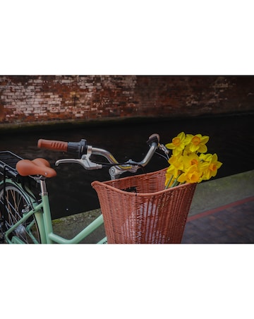 Dawes Elegance Electric Bike