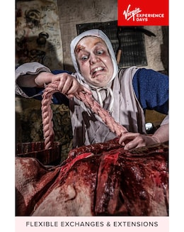 Visit to York Dungeons for Two Adults E - Voucher