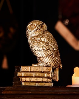 Warner Bros Harry Potter Alumni Figurine Hedwig