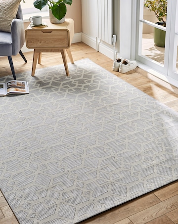 Lennox Indoor and Outdoor Rug