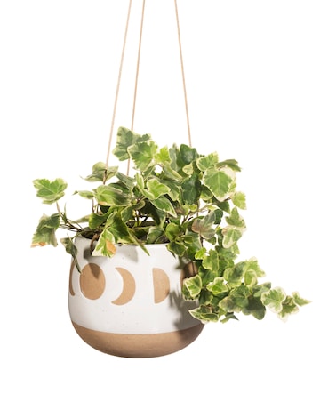 Sass And Belle Moon Phases Hanging Planter White