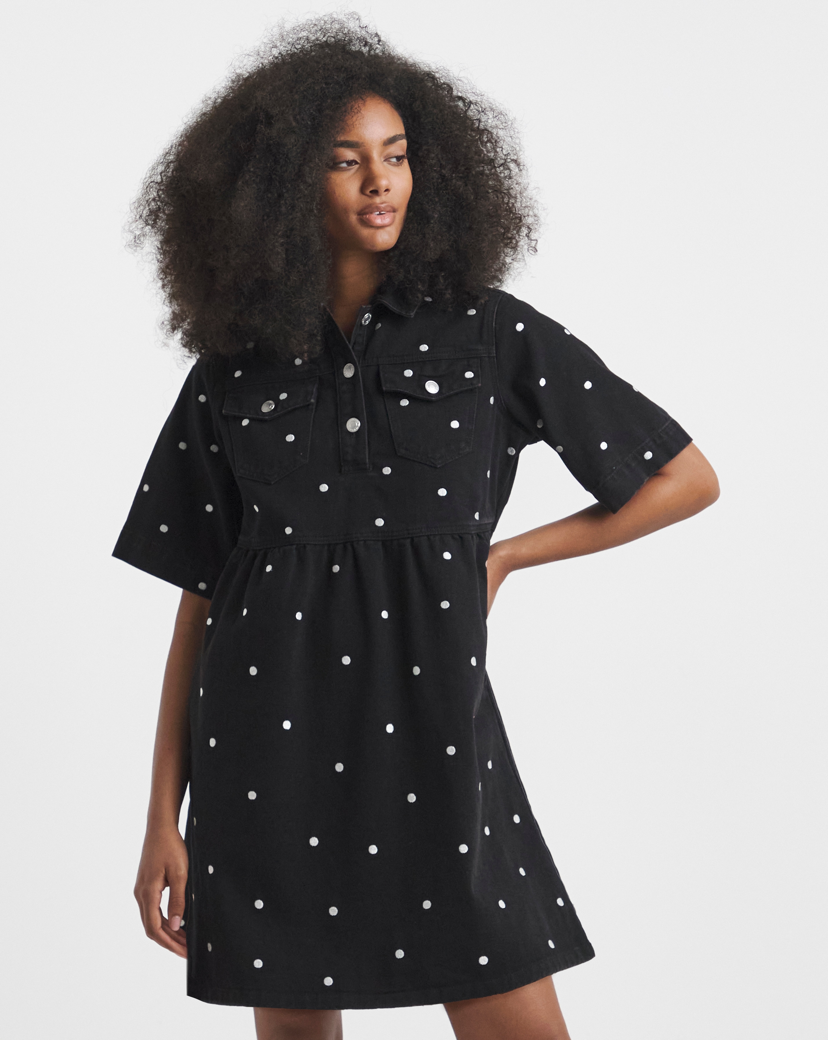 SBE Mono Embroidered Spot Mini Dress