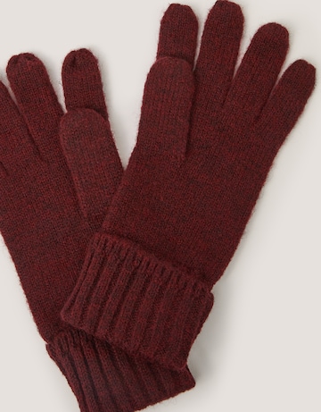 Monsoon Aster Knitted Gloves