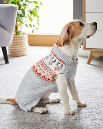 Novelty Reindeer Fairisle Dog Jumper