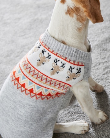 Novelty Reindeer Fairisle Dog Jumper