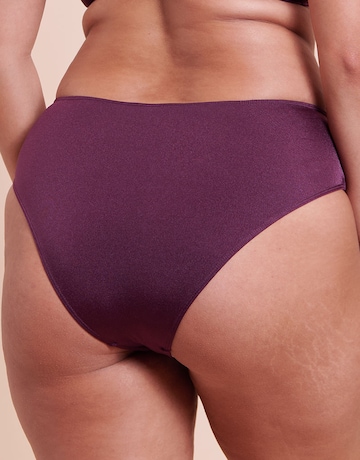 Curvy Kate Beach Bliss High Leg Bikini Brief