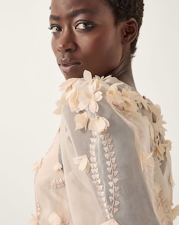 Monsoon Gwen Floral Organza Top