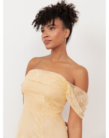 Maya Deluxe Laced Dress