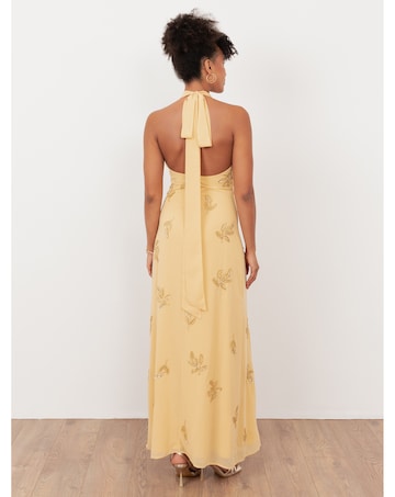 Maya Deluxe Embellished Dress