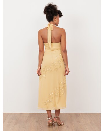 Maya Deluxe Embellished Dress