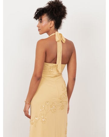 Maya Deluxe Embellished Dress