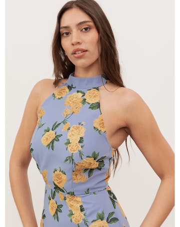 Anaya With Love Floral Print Dress