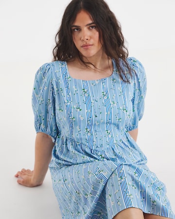 Blue Stripe And Floral Historic Detail Midi Dress