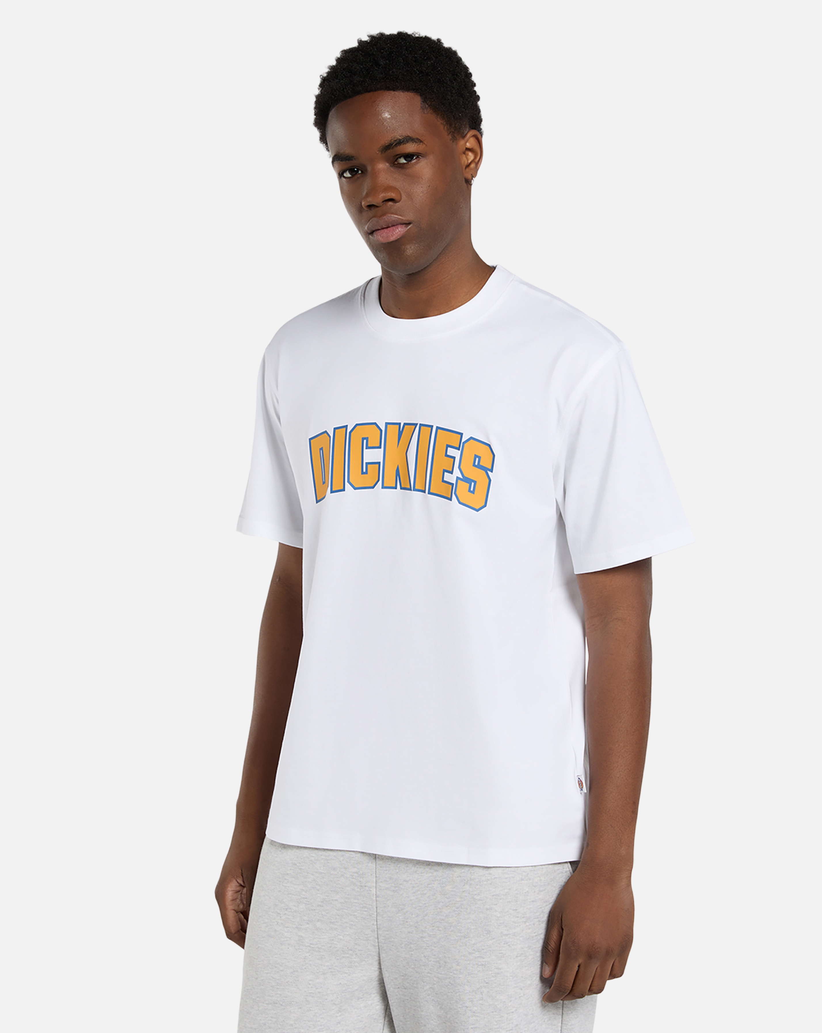 New In - Dickies Short Sleeve Aitkin T-Shirt