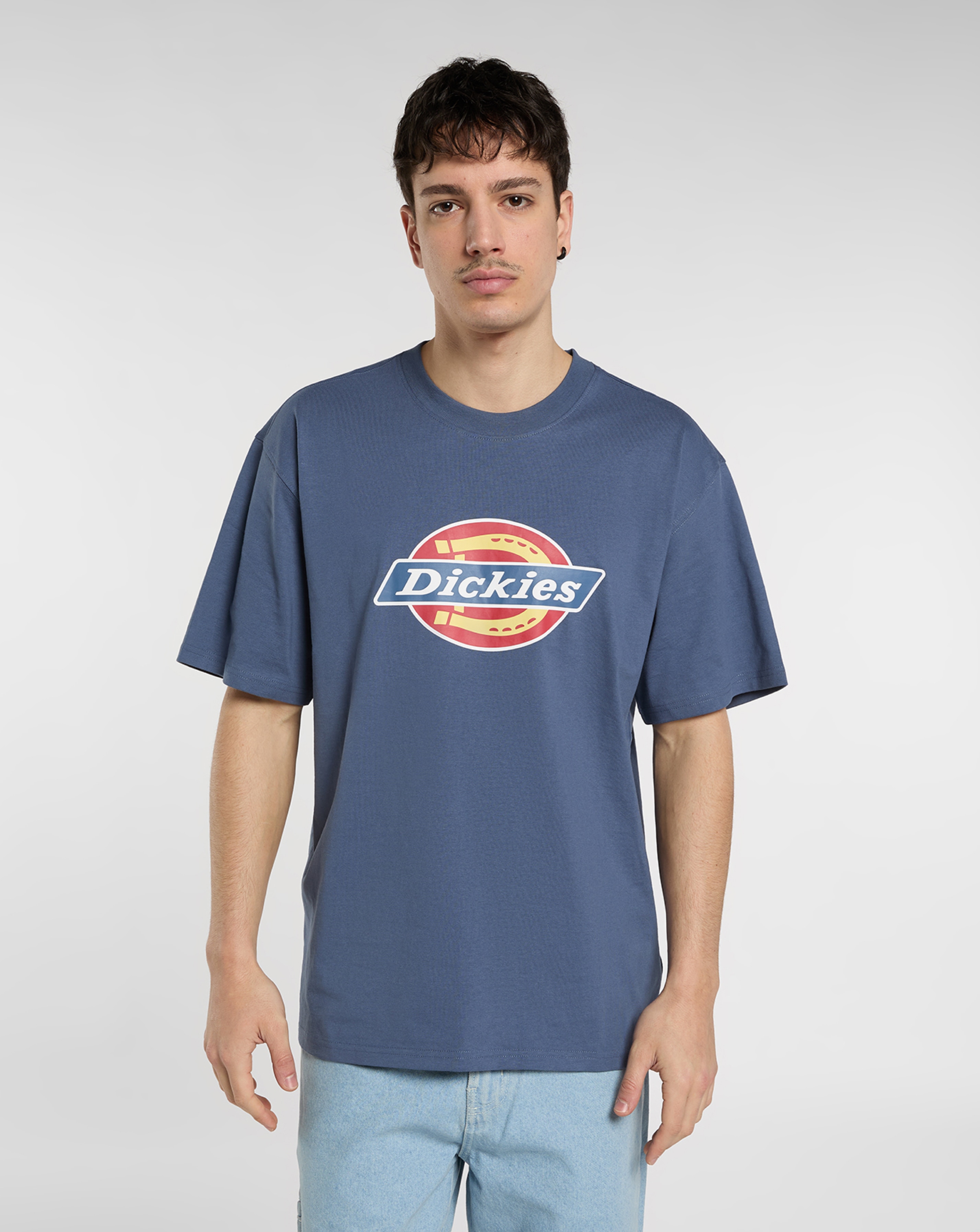 New In - Dickies Short Sleeve Icon T-Shirt