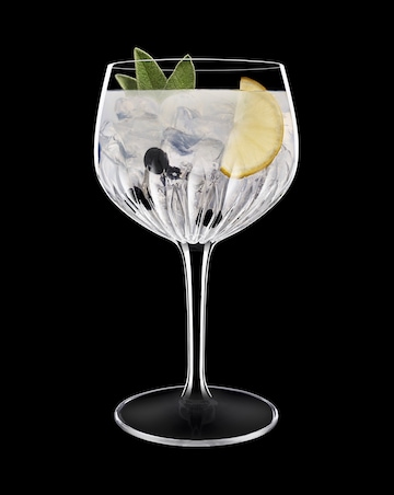 Luigi Bormioli Mixology Set Of 4 Gin Glasses