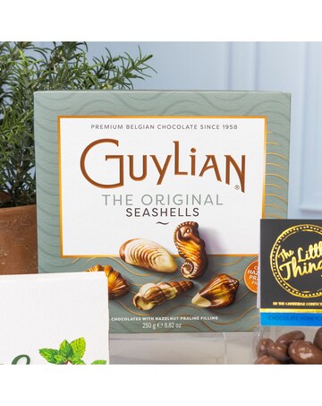 The Chocolate Lovers Collection