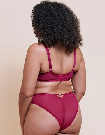 Curvy Kate Heartstopper Brazilian Brief