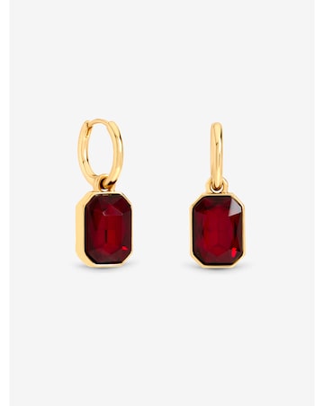 Mood Gold Plated And Red Crystal Drop Earrings