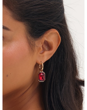 Mood Gold Plated And Red Crystal Drop Earrings