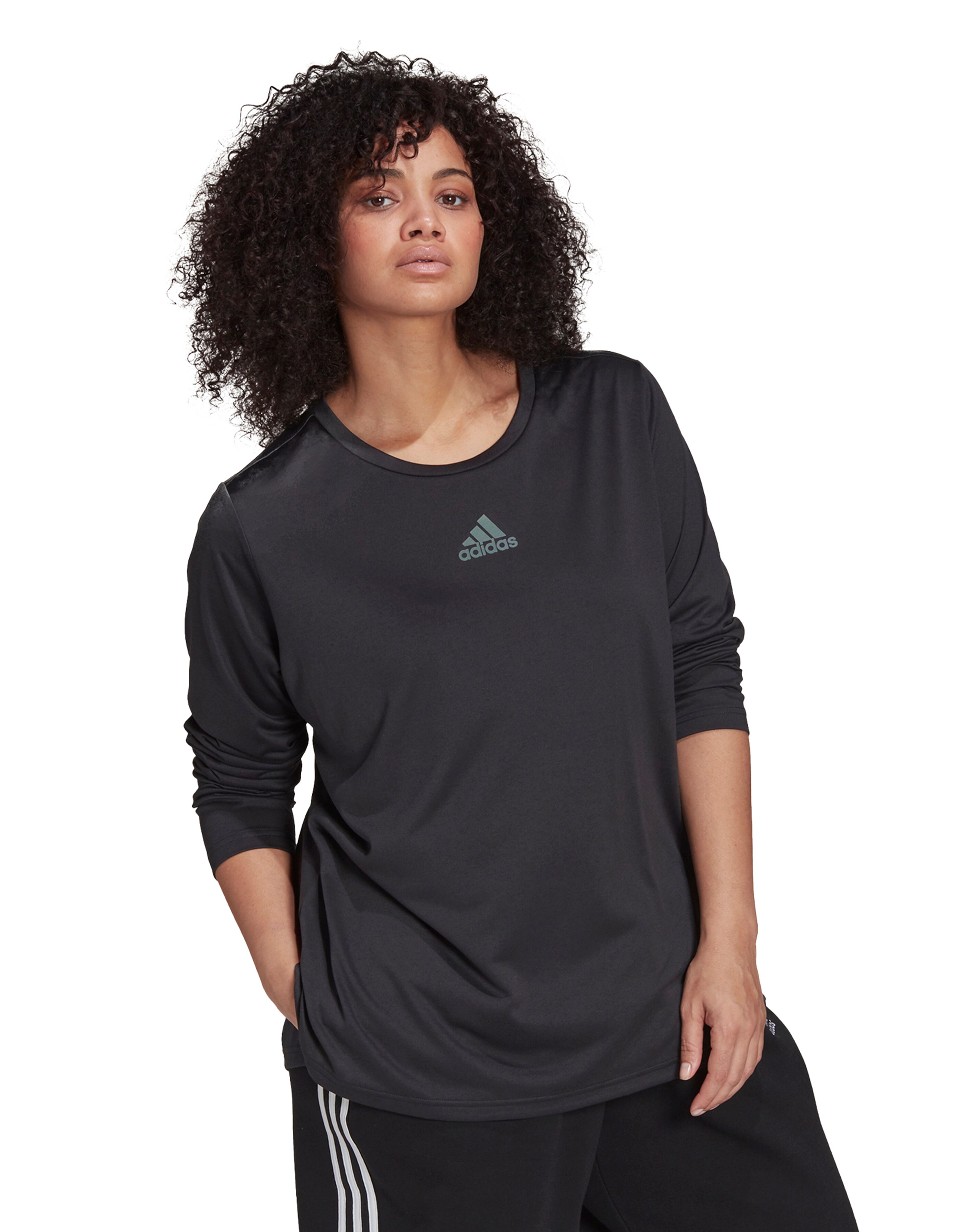 fashion world ladies t shirts