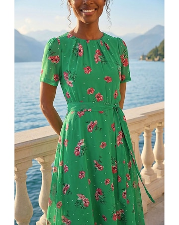 Roman Floral Chiffon Pleated Dress