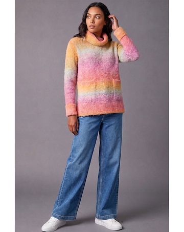 Roman Ombre Stripe Knit Jumper