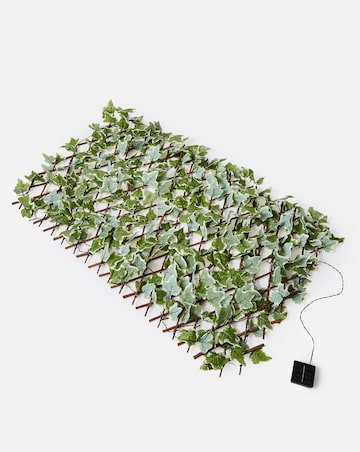 Pre-Lit Solar Ivy Trellis