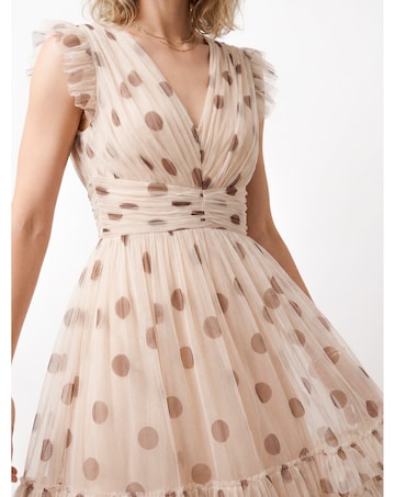 Anaya Polka Dot Print Dress