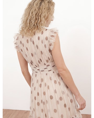Anaya Polka Dot Print Dress